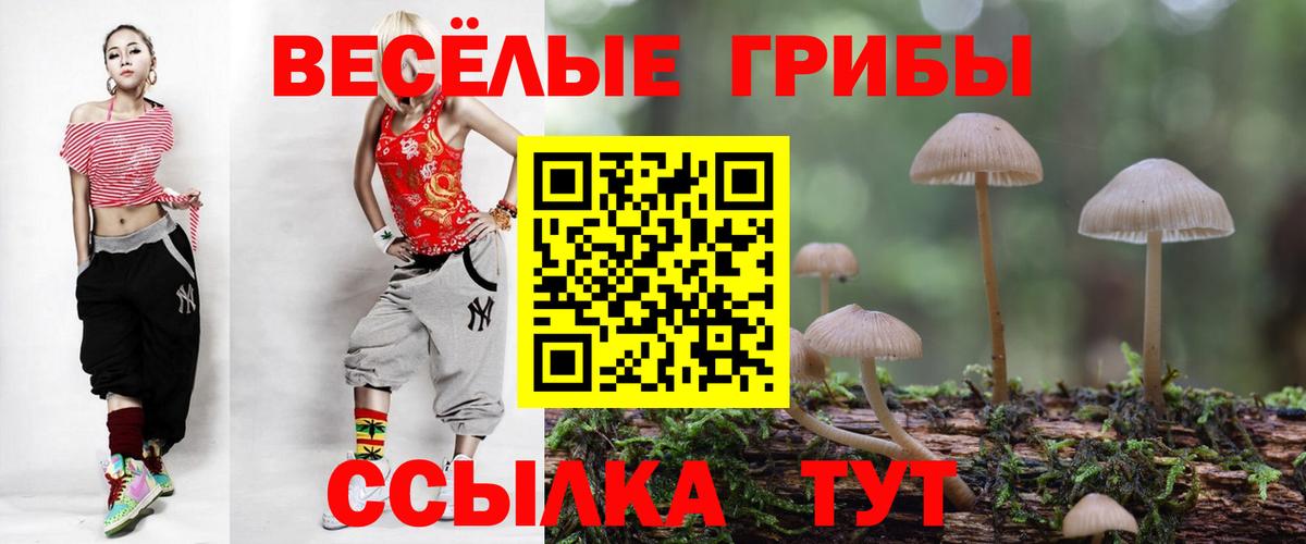 Псилоцибиновые грибы GOLDEN TEACHER Жуковский